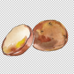 Sliced Potato Watercolor Png