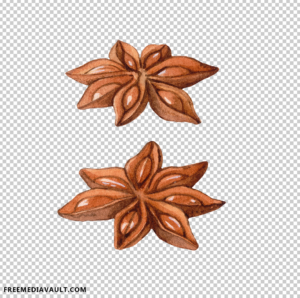 Star Anise, Watercolor, Food Png, Png, Ingredients, Painting