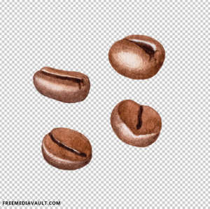 Coffee Beans Watercolor Painting Png, Free Download