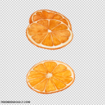 Hand-painted watercolor slices of orange fruit, perfect for cafe menus, food blogs, and wellness-themed designs