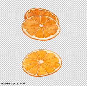 Hand-painted watercolor slices of orange fruit, perfect for cafe menus, food blogs, and wellness-themed designs